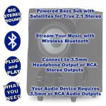 Bluetooth Home Speaker with Digital Input