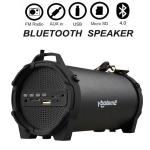 Loud Portable Bluetooth Speakers - High Bass