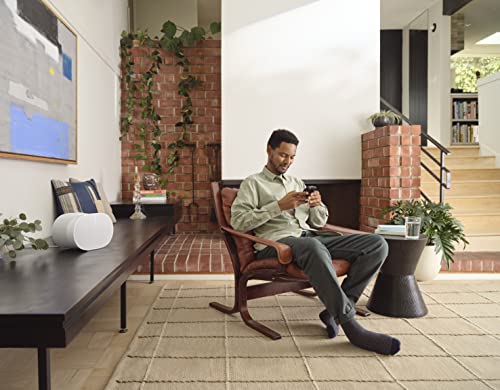 Sonos Era 300 Wireless Surround Sound Speaker