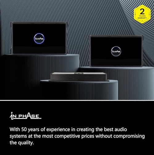 In Phase USW300 Active Underseat Car Subwoofer