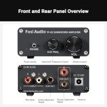 Fosi Audio TP-02 Mini Bass Amplifier 220W