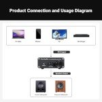 Fosi Audio TP-02 Mini Bass Amplifier 220W