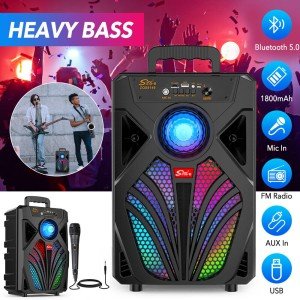 Outdoor wireless subwoofer with microphone