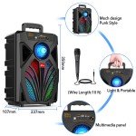 Outdoor wireless subwoofer with microphone