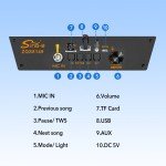 Outdoor wireless subwoofer with microphone