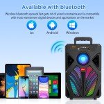 Outdoor wireless subwoofer with microphone