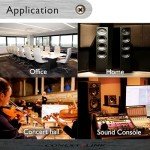 Gold and Silver Speaker Cables, 50 Feet