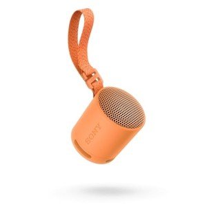 Sony SRS-XB100 Portable Wireless Outdoor Speaker