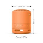 Sony SRS-XB100 Portable Wireless Outdoor Speaker