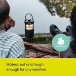 Woodland Glow Bluetooth Speaker with LED Light