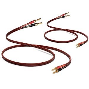 High-Quality 14 AWG Speaker Wire with Banana Plugs