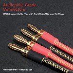 High-Quality 14 AWG Speaker Wire with Banana Plugs