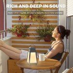 Inwa Outdoor Bluetooth Speaker System with Light Show