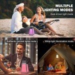 Inwa Outdoor Bluetooth Speaker System with Light Show
