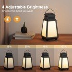 Inwa Outdoor Bluetooth Speaker System with Light Show