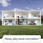 Echo 4th Gen Smart Speaker with Alexa - Charcoal