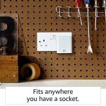 Echo Flex – Alexa Smart Home Voice Control
