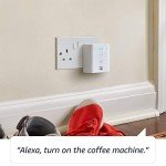 Echo Flex – Alexa Smart Home Voice Control