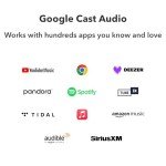 WiiM Pro Multiroom WiFi Audio Streamer