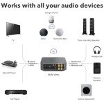 WiiM Amp: Multiroom Streaming Amplifier with Voice Control