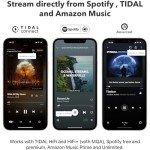 WiiM Pro Multiroom WiFi Audio Streamer