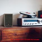 HiVi-Swans Oasis 2-Way Desktop Bookshelf Speakers