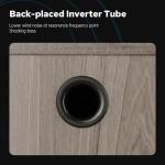 HiVi-Swans Oasis 2-Way Desktop Bookshelf Speakers