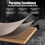 Hiwill 5.2.2ch Dolby Atmos Soundbar with Subwoofers