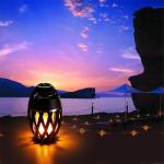 Bluetooth LED Flame Speaker for Outdoor Fun
