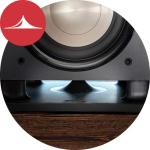 Polk Audio HTS 10 Subwoofer - Deep Bass Deluxe
