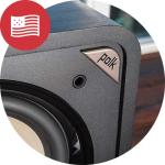 Polk Audio HTS 10 Subwoofer - Deep Bass Deluxe