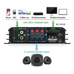 Bluetooth 2.1 Channel Audio Amplifier with Remote