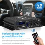Bluetooth 2.1 Channel Audio Amplifier with Remote