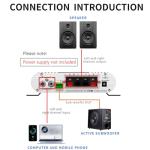 XRLUC 12V Mini Amplifier with Bass Subwoofer
