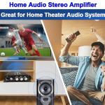 XRLUC Mini Bluetooth 2.1 Bass Amplifier
