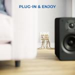 delEYCON 5.1 Wall Box for Surround Sound