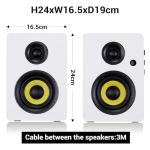 Sanyun SW206 80W Dual-Mode Bookshelf Speakers