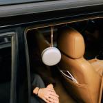 Bang & Olufsen Beosound A1 Portable Bluetooth Speaker