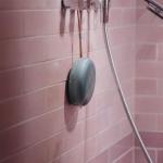 Bang & Olufsen Beosound A1 3rd Gen Bluetooth Speaker