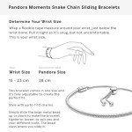 PANDORA Sterling Silver Charm Bracelet with Cubic Zirconia