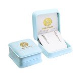 18K White Gold Double Piercing Chain Earrings