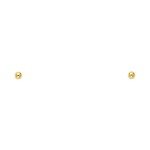 14k Yellow Gold 2mm Ball Stud Earrings