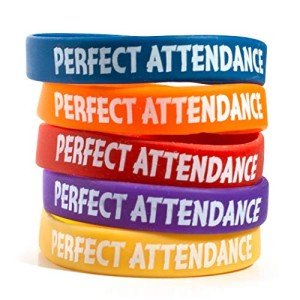 Anderson's Silicone Wristband Assortment - 25 Pack