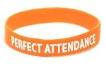 Anderson's Silicone Wristband Assortment - 25 Pack