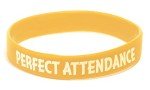 Anderson's Silicone Wristband Assortment - 25 Pack