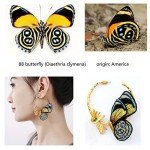 Gold Butterfly Hoop Earrings for Women & Teens