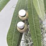 Brass and Silver Crescent Clip-On Earrings