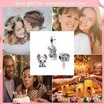 Oomibo 925 Sterling Silver Charm Beads for Bracelets