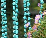Turquoise Beads Multi-Strand Layered Necklace 59