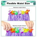 Hawaiian Luau Hula Skirt Set with Accessories